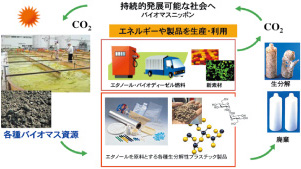 イオマスエンジニアリングによる循環型社会の形成モデル：参考図