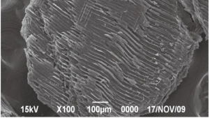 環境触媒に活用できる炭素化物の製造方法の研究：参考図