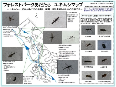 ユキムシマップ.jpg