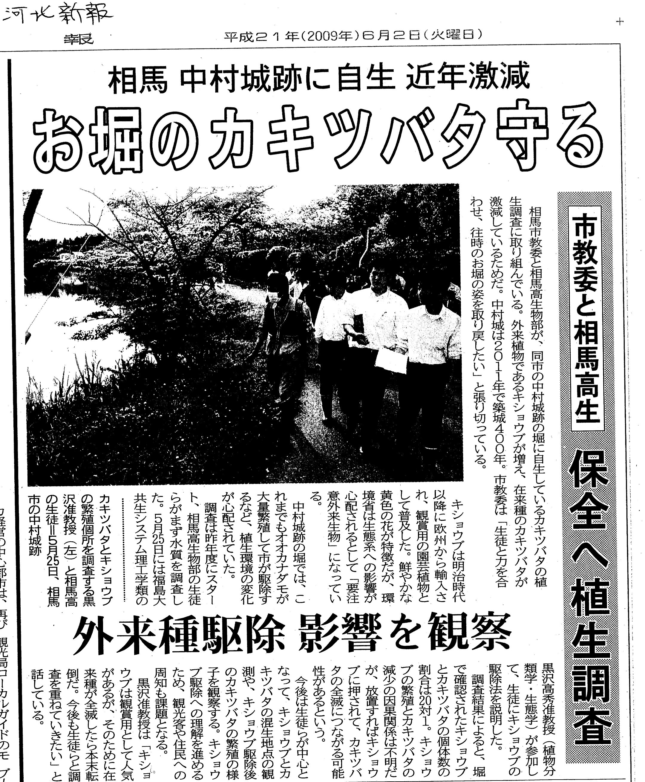 河北中村城キショウブ