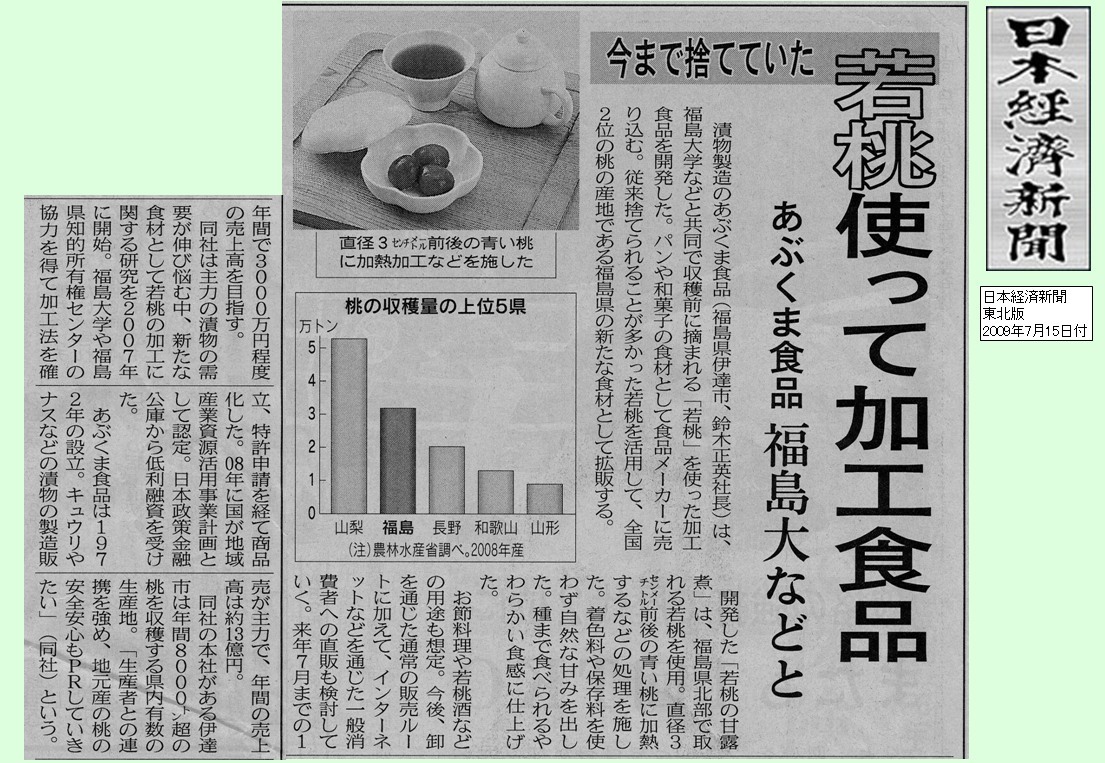 日経新聞2009