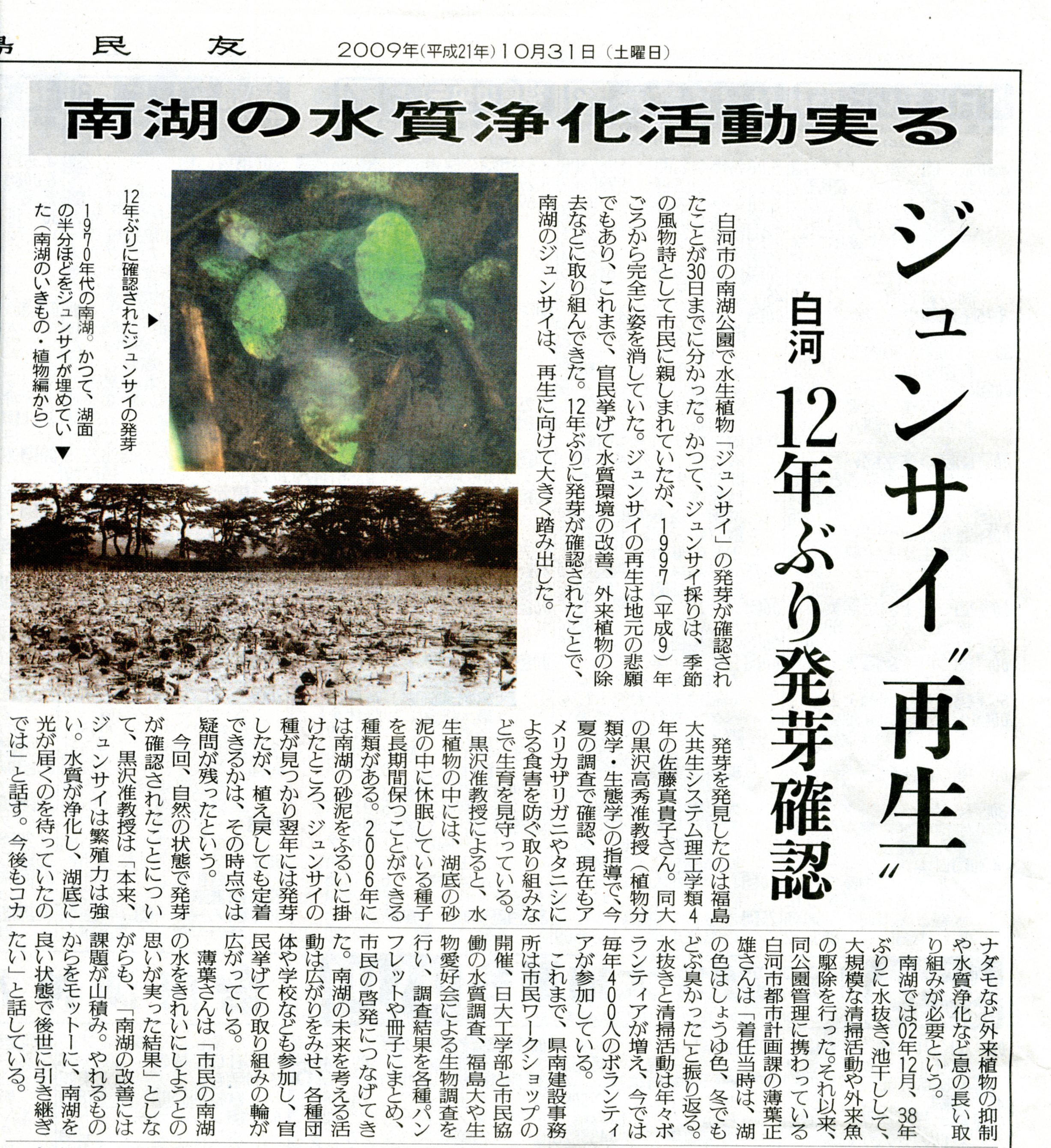 民友ジュンサイ発芽091031