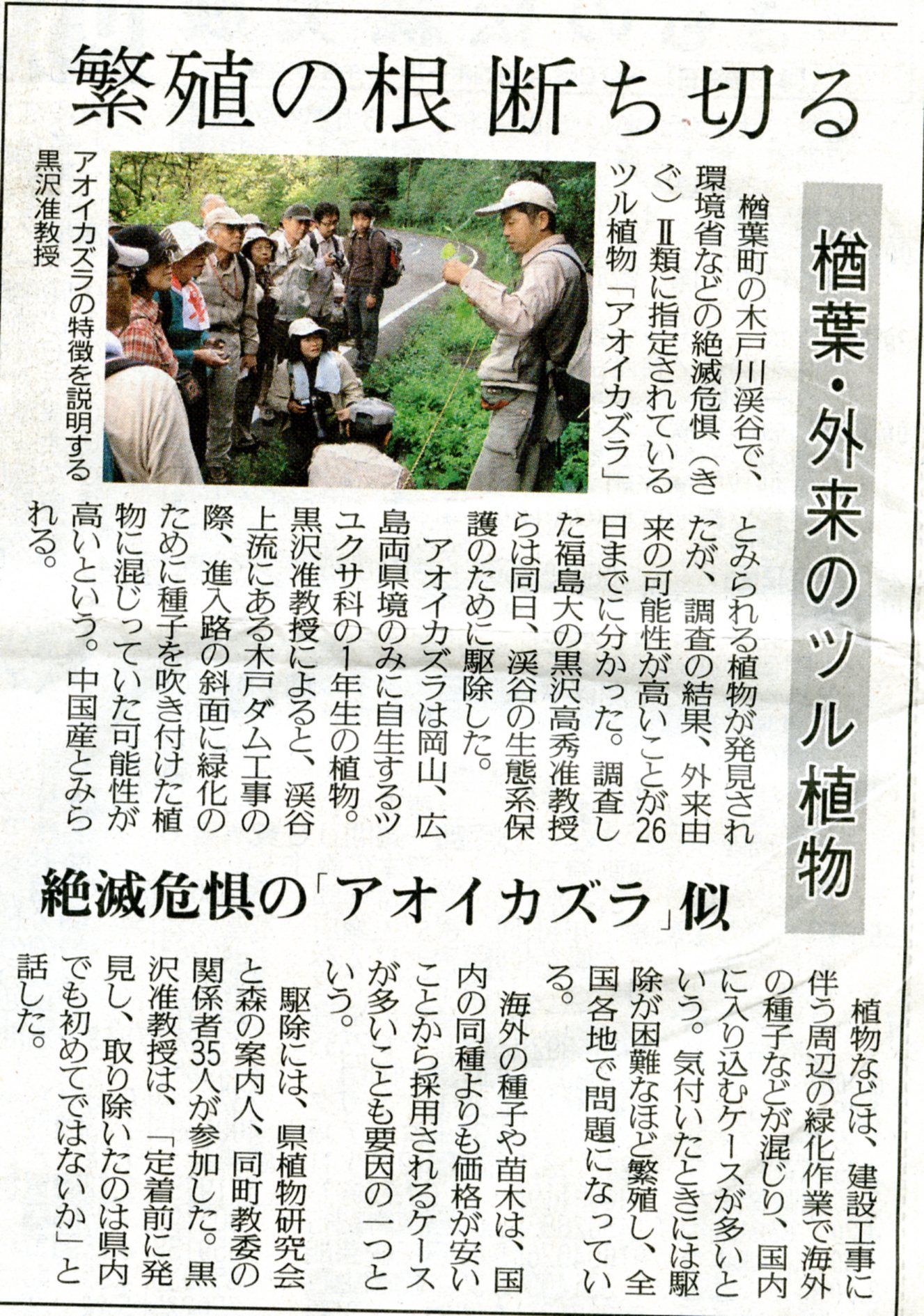 民友20100927楢葉アオイカズラ