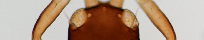 08151705.JPG