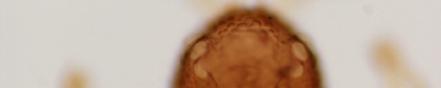 08152755.JPG